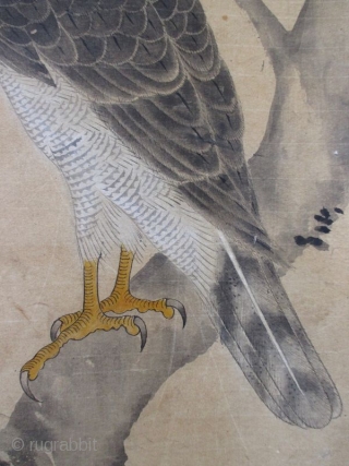 Japanese Antique Scroll Painting of a Hawk, signed Shunkei
Antique Japanese scroll painting of a hawk standing on the branch of an oak tree. The hawk is detailed with great attention to every  ...