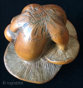 Rare Antique Japanese Mushroom Netsuke

An exquisite boxwood carving Netsuke in a classic mushroom shape with very fine detailing. 
Mushrooms are associated with nature and the natural beauty of the forest. They are  ...