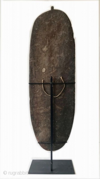 Rare Antique Oceanic Mendi Shield

A rare Mendi wood shield from the Southern Highlands Provence, Papua New Guinea made of wood, natural pigment with a natural fiber strap. The shield is a regionally  ...