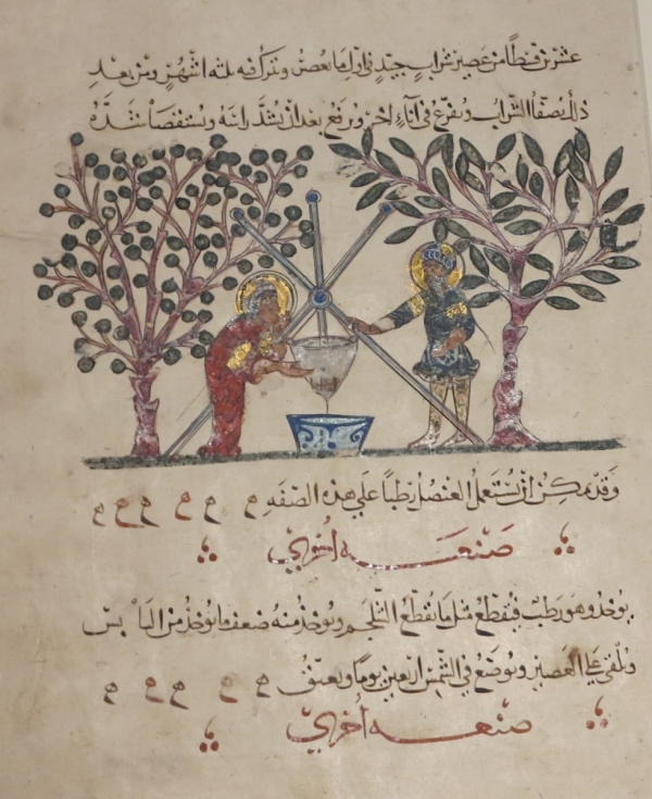 Court and Cosmos: The Great Age of the Seljuqs