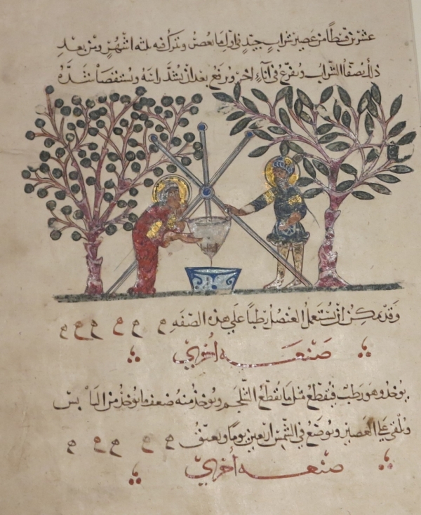 Court and Cosmos: The Great Age of the Seljuqs